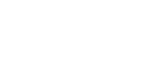 Polish FIC logo for website 